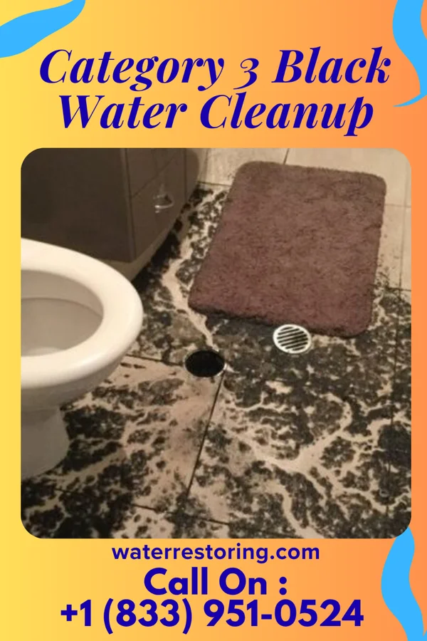 Category 3 Black Water Cleanup in Oliver Springs, TN