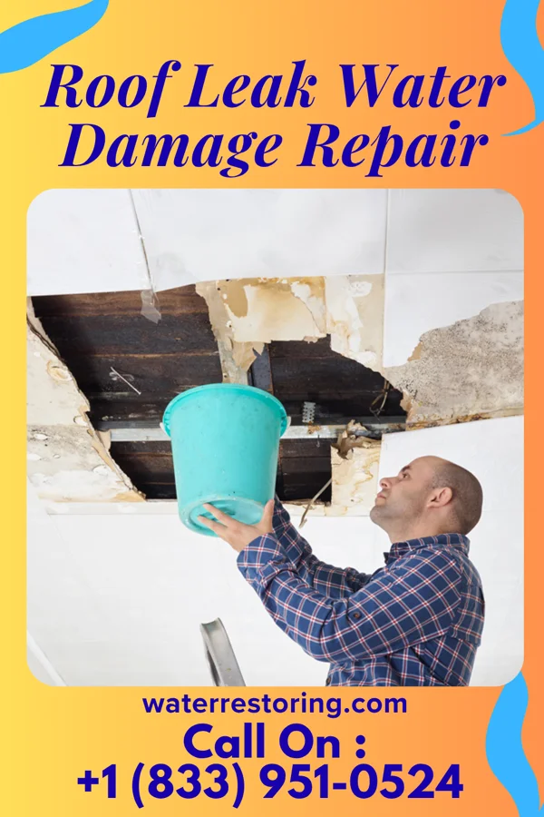 Roof Leak Water Damage Repair in Oliver Springs, TN