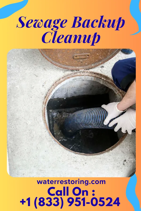 Sewage Backup Cleanup in Oliver Springs, TN